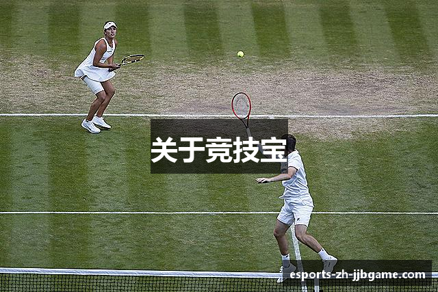 关于竞技宝